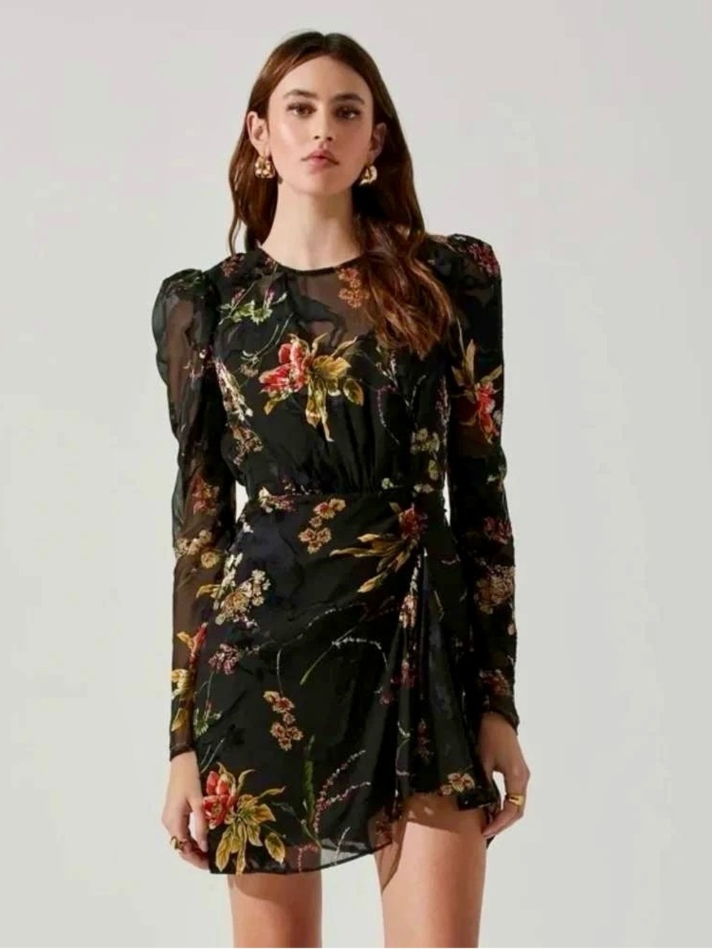 NWT Astr Cindy Floral Burnout Long Sleeve Mini Dress (Size Small)